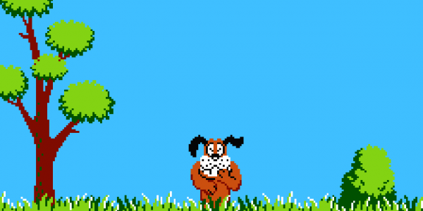 Duck Hunt Dog